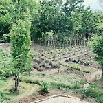 Bujtina Cakuli, - Erseke Villa *