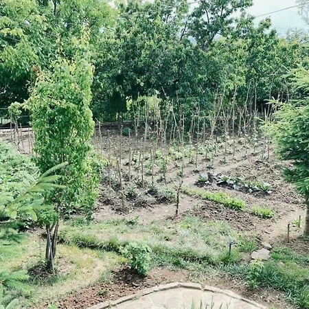 Bujtina Cakuli, - Erseke Villa *