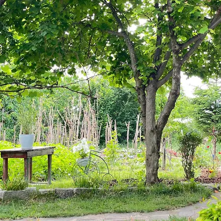 Villa Bujtina Cakuli, - Erseke