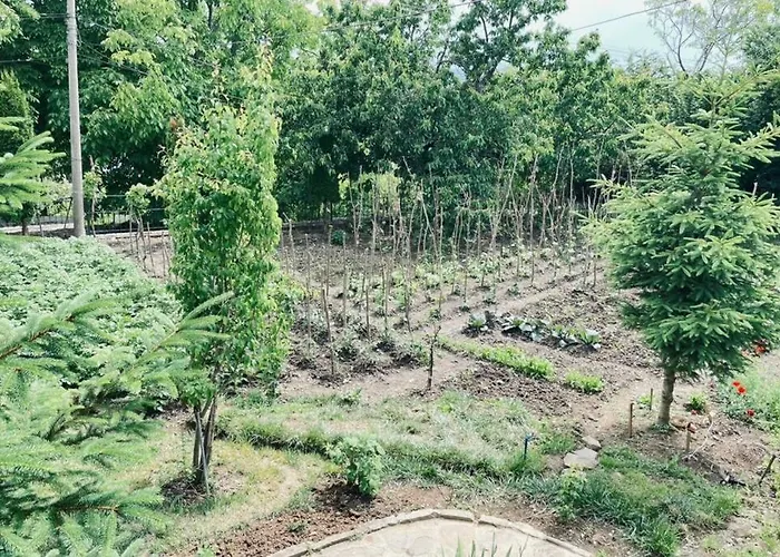 Bujtina Cakuli, - Erseke Willa *