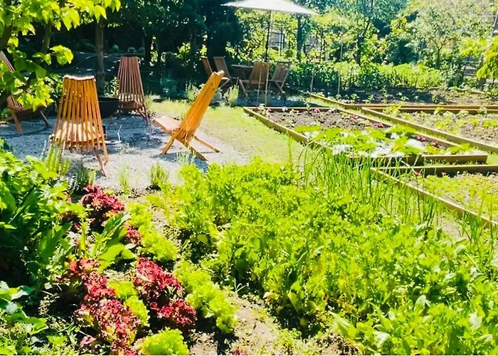 Bujtina Cakuli, - Erseke Villa *